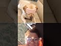 smart funny dog #pets #animals #doglover #funny