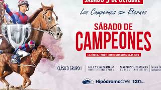 Vidéo de la course PMU ANDRONICO H.