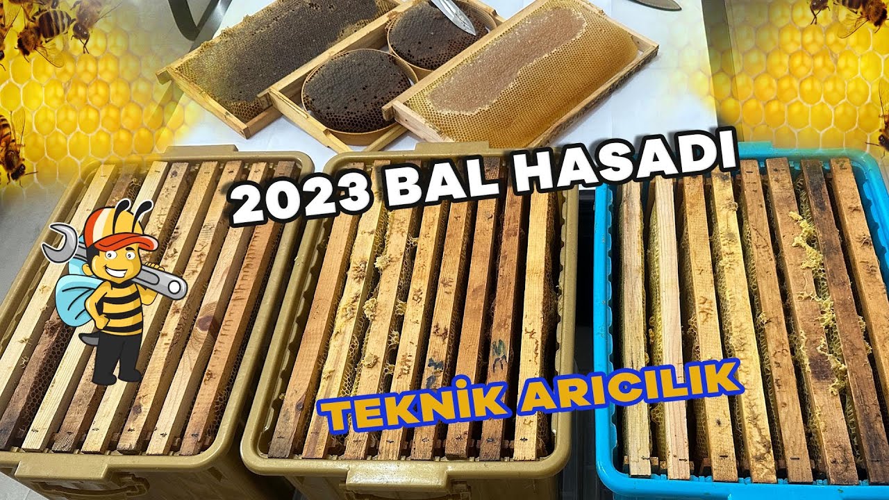 СБОР МЕДА 2023 - ТЕХНИЧЕСКОЕ ПЧЕЛОВОДСТВО