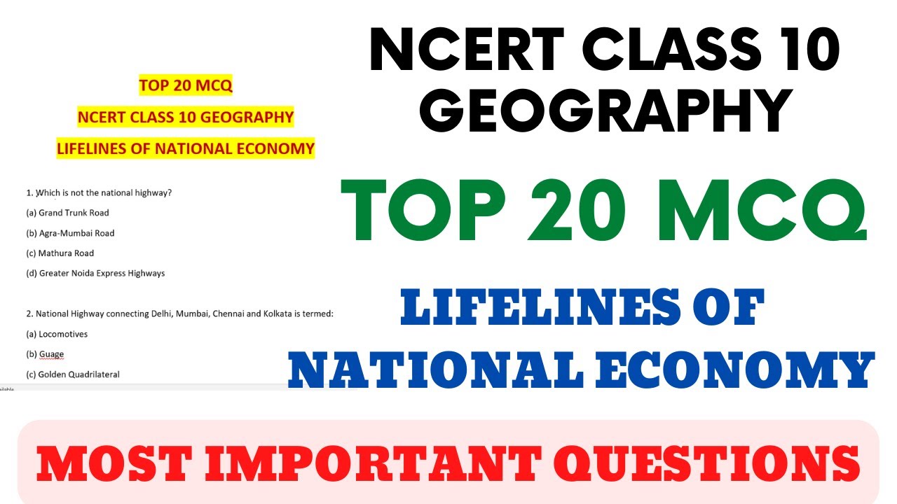 Best MCQ Lifelines of National Economy Class 10 Full Chapter // Class