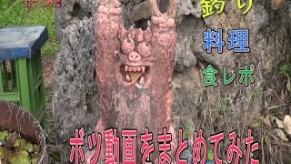 シーサー工房、釣り、 食レポ、罰ゲームボツ動画集
