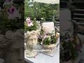 Creating My Peaceful Edible Balcony Garden: Where Beauty Meets Nourishment