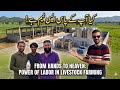 Dairy Farming Ka Asli Sach! 💸 | Power of Labor in Livestock Farming