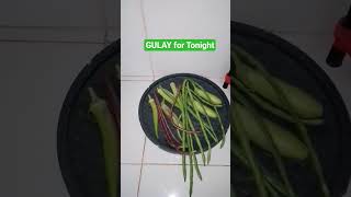 Gulay For Tonight 091625