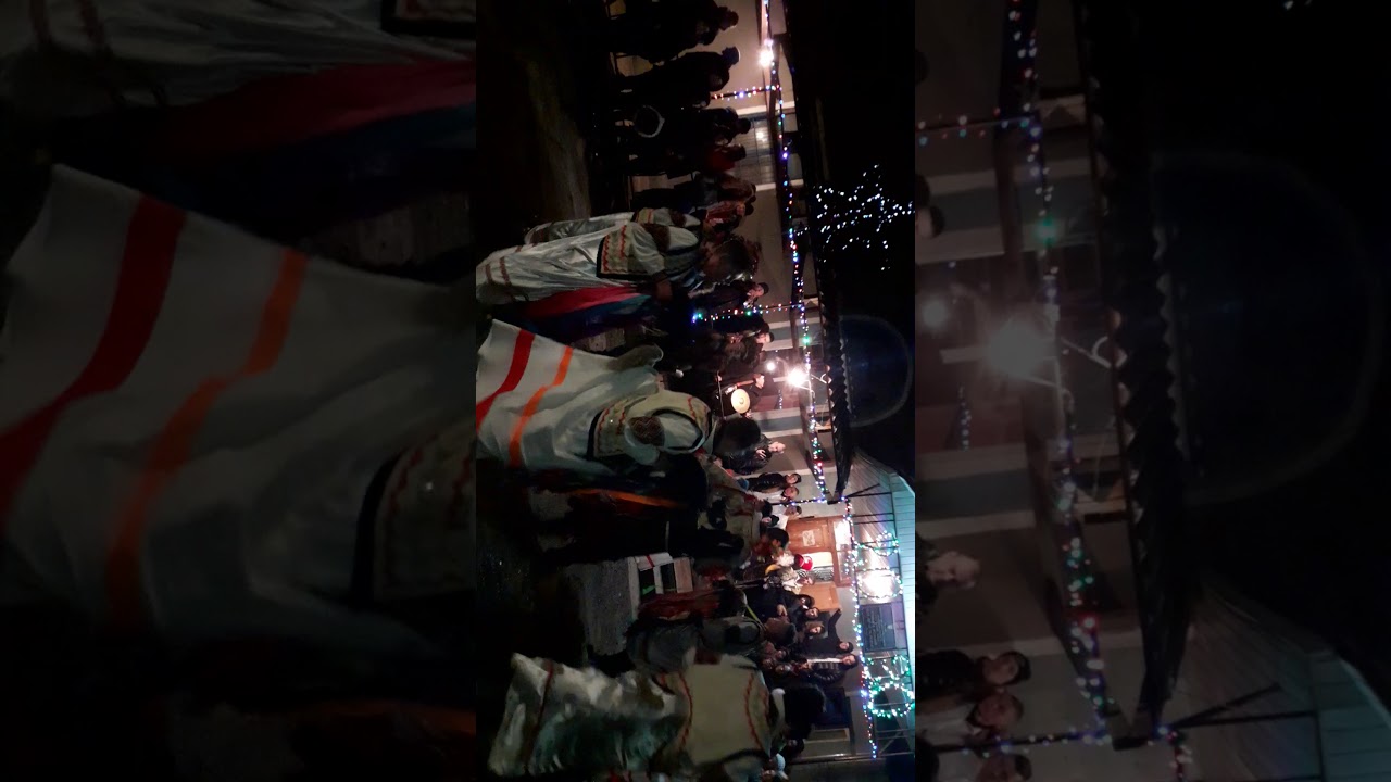 Caii din mogosesti (lunca) la club