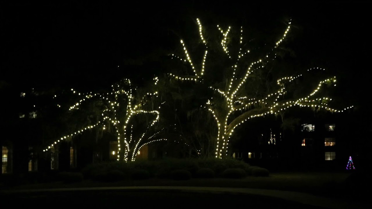 Holiday Lights at Westminster Oaks 2021 YouTube