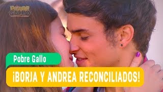 Poor Rooster - Andrea and Borja - Borja and Andrea reconciled! / Chapter 112