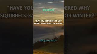 Why Squirrels Gather Nutsshorts facts subscribe squirrel