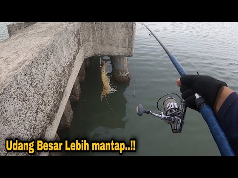 Nyesek..‼️ Kenapa bukan dari siang mancing disini || pltu lontar 3 dam merah