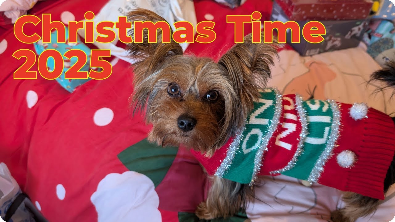 Christmas Time - 2025