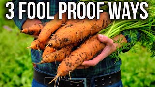From Seed to Harvest: 3 GameChanging Carrot Growing Strategies!