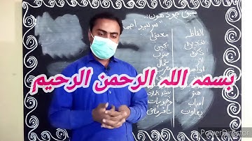 Class - 5th - Sindhi - Assignment for Copy # 09 - HSS