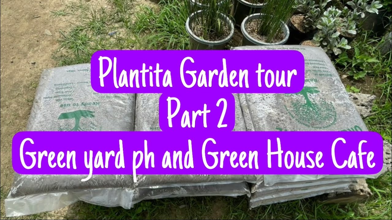 Part 2 Plantita Garden Tour. Green Yard PH and Green House Cafe YouTube