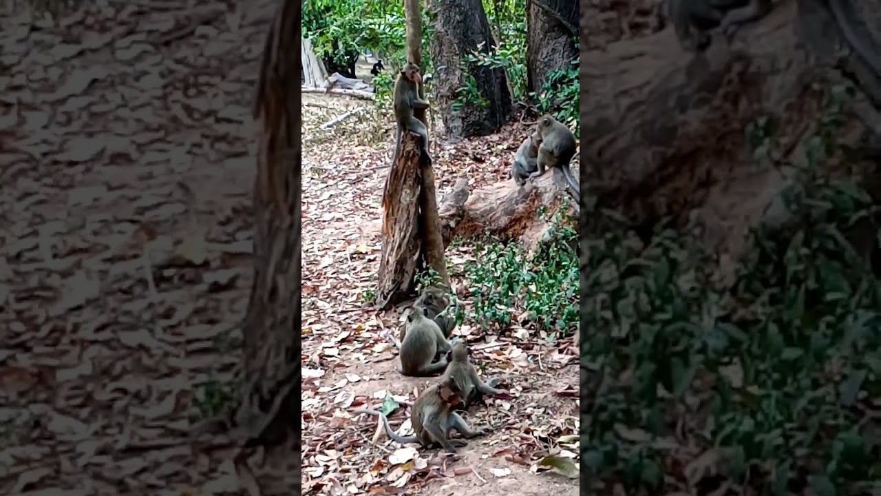 peck and Jody with Alberto