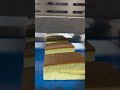 Ultrasonic cake cutting machine