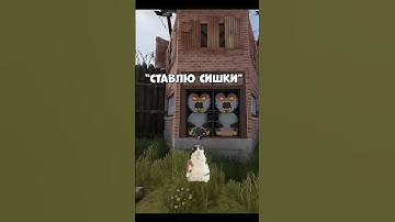 Смешные приключения котов в мире Rust!