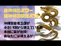 【超開運パワー】龍神様の開運パワー‼️龍神様が気になる方は必ずご覧下さい‼️力になります‼️龍神様の姿はあなたには視えるか⁉️