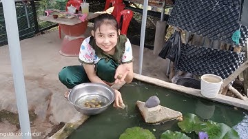 ỐC TÁO DŨNG SĨ VỆ SINH HỒ