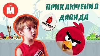 Приключения Давида и Лунтика ПОДАРОК ДЛЯ РЭДА Энгри Бердз ANGRY BIRDS Видео для детей(Лунтик и Давид выясняют, что у Реда плохое настроение. Ред из Энгри Бердс не может отметить день рождения,..., 2016-09-14T14:00:01.000Z)