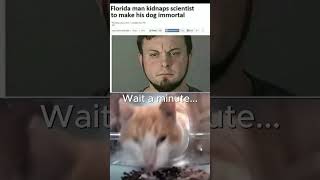 Wait a minute... #memes #funny #fyp #video #viralvideo #shorts #cat