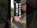 第169回釣技最前線 #Shorts #マルキユー #ほどき #セット