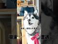 ドローン優秀すぎる！今月旅行いっぱい行くからこれでいっぱい撮るぞー！壊さないようにしよう・・・