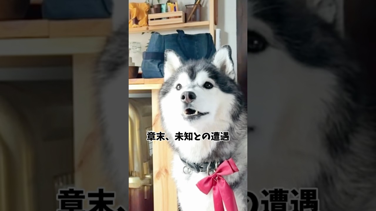 ドローン優秀すぎる！今月旅行いっぱい行くからこれでいっぱい撮るぞー！壊さないようにしよう・・・