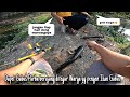 Buahayya bro..!! Saking Besar Ikan Gabusnya Saya sampai ditegur Warga ga boleh mancing disini lagi