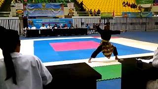 Download Lagu Pencak Silat Kembang Tanjung PS Kilat Braja Gandasoli Sukabumi,Farih MP3