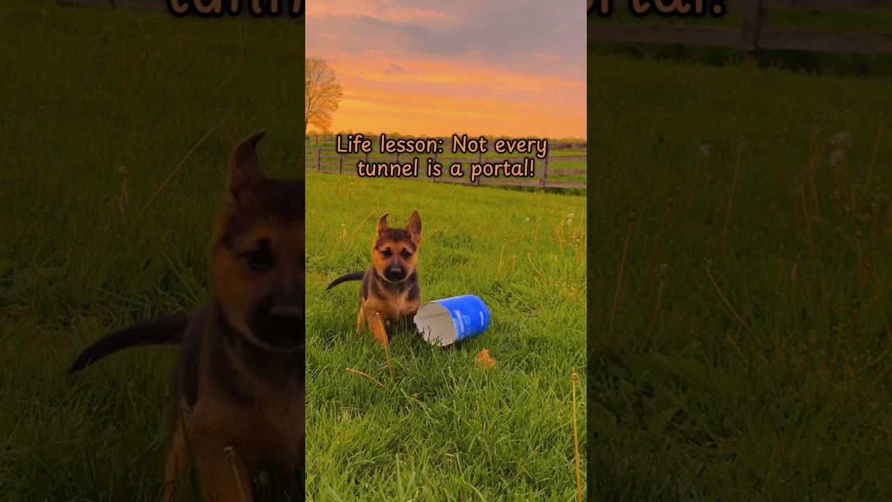 If this made you smile, follow and join the chaos! 