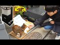 길고양이 겨울집 만들어주기 / Making a Winter House for the road Cats