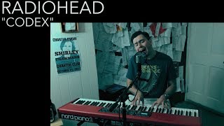 Radiohead - Codex Cover By Joe Edelmann