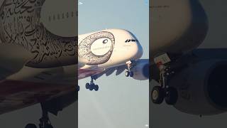 Why can changing one airplane tire pay $5,000… but still terrify most mechanics?#knowledge #fyp Wealth