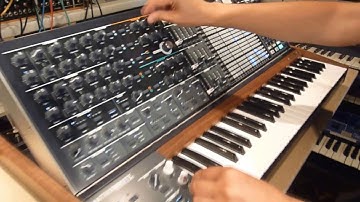 Arturia Matrixbrute  New Mode Arpeggiator / Sequencer