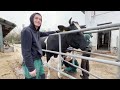 Csapó Dániel Mezőgazdasági Technikum, Szakképző Iskola... Agrochallenge versenyfilm