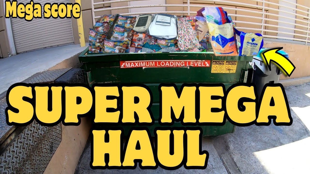 DUMPSTER DIVING - SUPER MEGA HAUL!!! WHY DID THEY THROW THIS OUT?