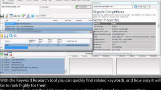 Introduction to Ignite SEO