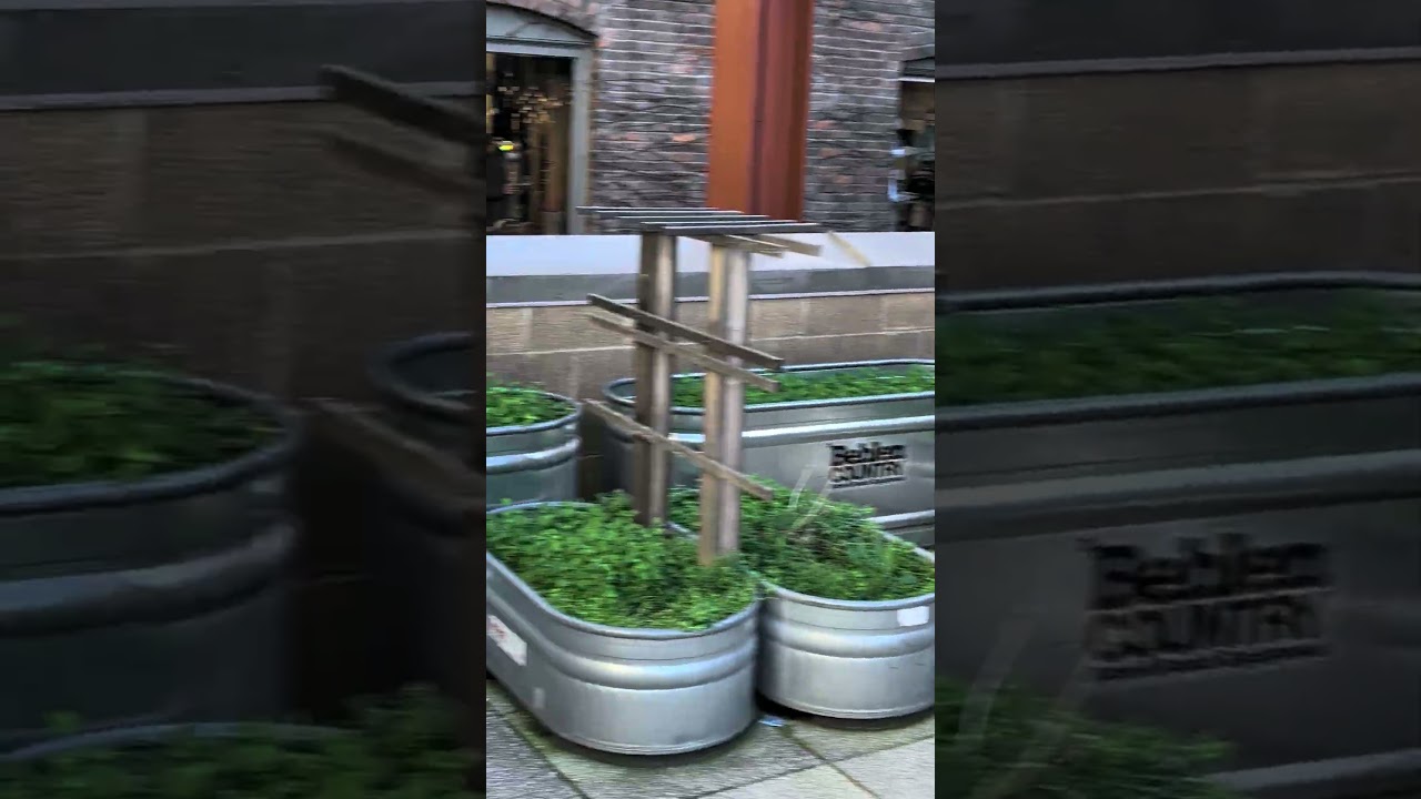 Secret Garden Spot at Pike Place Market 