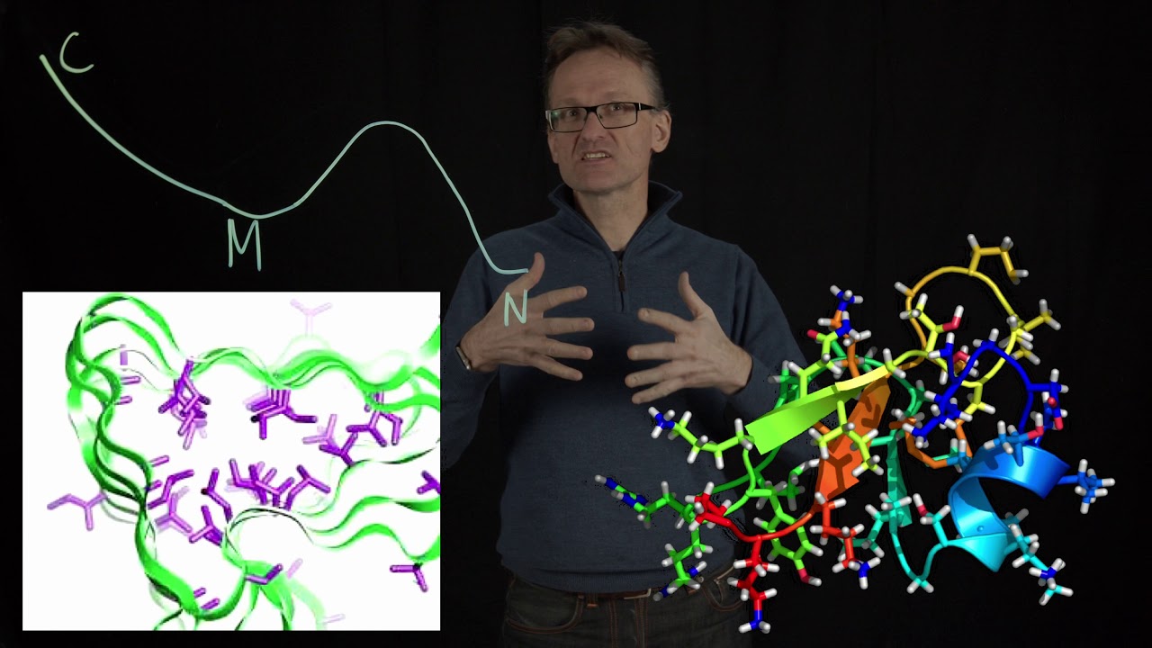 Lecture 10, concept 04 Proteins are heteropolymers side chain packing leads to phase