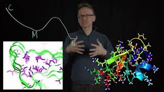 Lecture 10, concept 04: Proteins are heteropolymers - side chain packing leads to phase transition