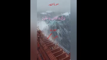 سورة النصر#احاديث #اكسبلور #الرقية_الشرعية #السنة_النبوية #قرآن #لايك