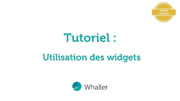 Tutoriel Whaller : Utilisation des widgets