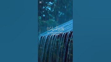 🍃احمد العجمي 🍃سورة الشرح #quran #قرآن #القرآن_الكريم #القرآن #alquran #alquranulkarim