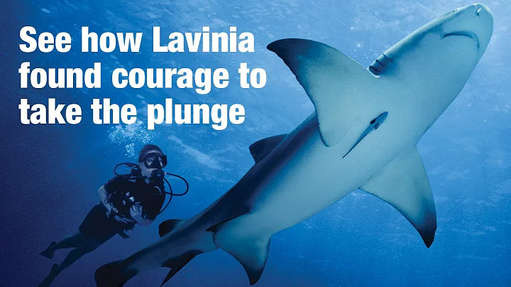 Lavinia Tan recalls diving with sharks & discoveri...