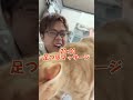 元気が出る24時間生活 #名前募集中