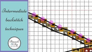 Intermediate Backstitch Techniques Handling Long Runs Of Backstitch