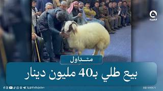 بيع طلي بـ40 مليون دينار في أحد مزادات أربيل