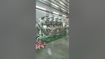 multiple products mix in one bag weighing packing machine
