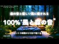 【睡眠用BGM・風の音 睡眠・自然音 睡眠】森の音と優しい風に包まれて眠る 100% 風と森の音 |自然音 ASMR |風の音 BGM|夜の森の音 |ONS-0264