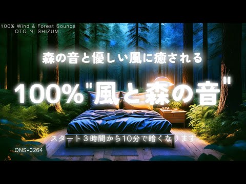 【睡眠用BGM・風の音 睡眠・自然音 睡眠】森の音と優しい風に包まれて眠る 100% 風と森の音 |自然音 ASMR |風の音 BGM|夜の森の音 |ONS-0264